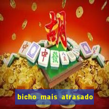 bicho mais atrasado na bahia